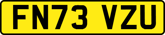 FN73VZU