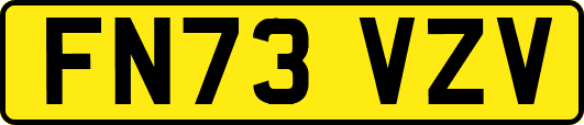 FN73VZV