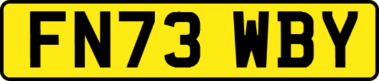 FN73WBY