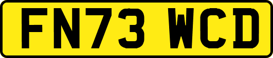 FN73WCD