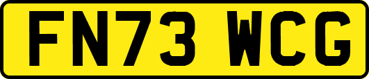 FN73WCG