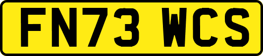 FN73WCS