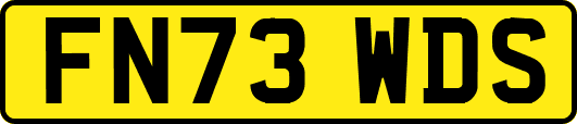 FN73WDS
