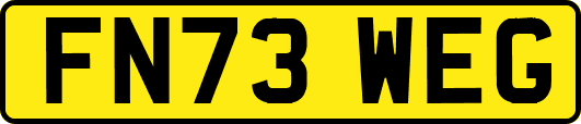 FN73WEG