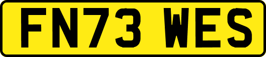 FN73WES