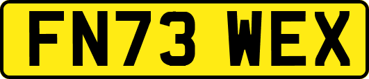 FN73WEX