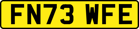 FN73WFE