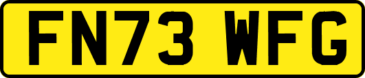 FN73WFG