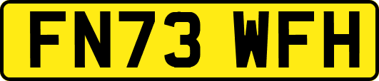 FN73WFH