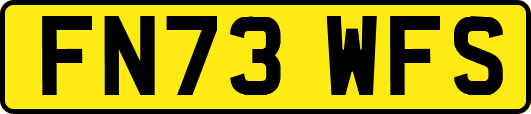 FN73WFS
