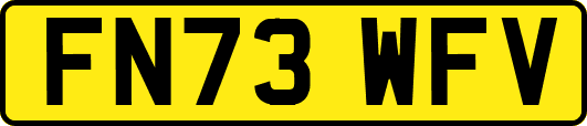 FN73WFV