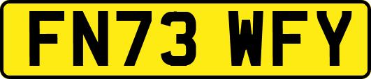 FN73WFY