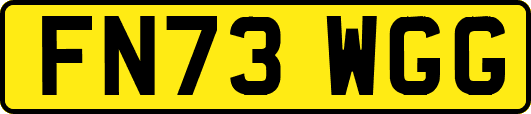 FN73WGG