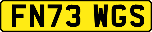 FN73WGS