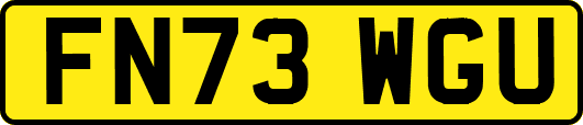FN73WGU