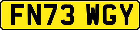 FN73WGY