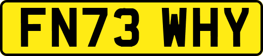FN73WHY