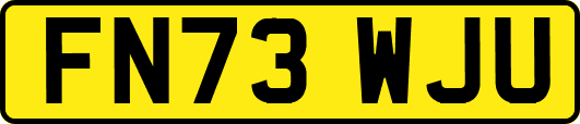 FN73WJU