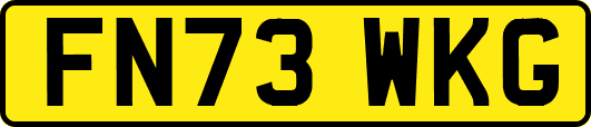 FN73WKG