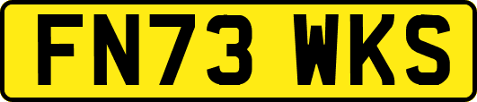 FN73WKS