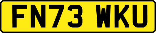 FN73WKU
