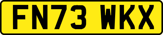 FN73WKX