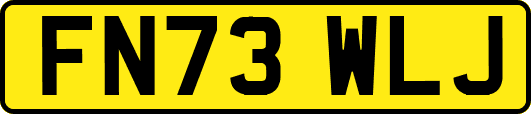 FN73WLJ