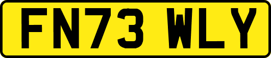 FN73WLY