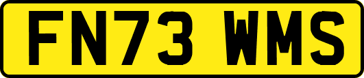 FN73WMS