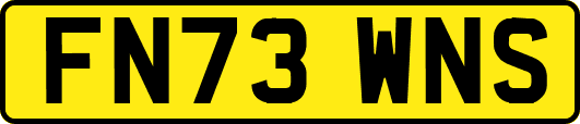 FN73WNS