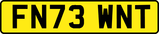 FN73WNT