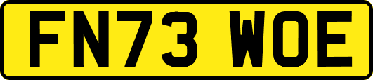 FN73WOE