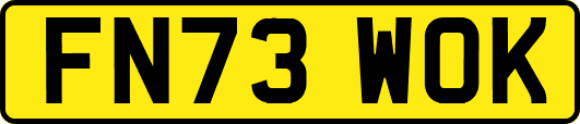 FN73WOK