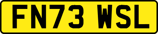 FN73WSL