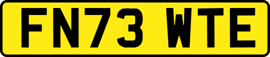 FN73WTE