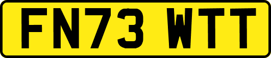 FN73WTT