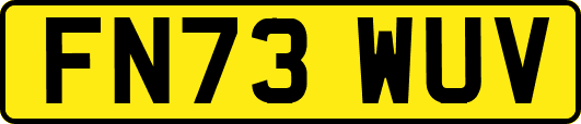 FN73WUV