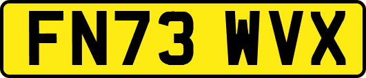 FN73WVX