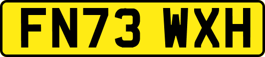 FN73WXH