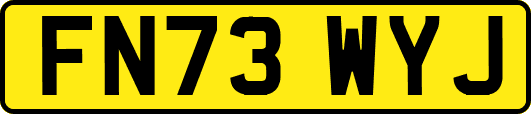 FN73WYJ