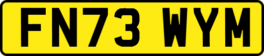 FN73WYM