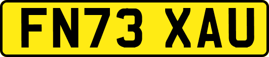 FN73XAU