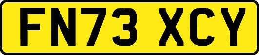 FN73XCY