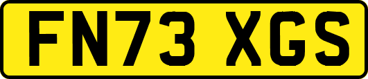 FN73XGS