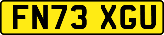 FN73XGU