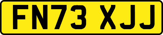 FN73XJJ
