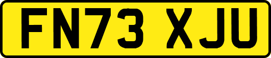 FN73XJU
