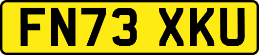 FN73XKU