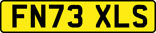 FN73XLS