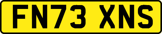 FN73XNS